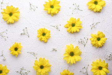 Beautiful flowers on white textured background