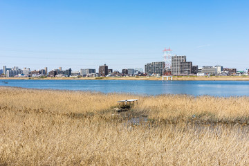 多摩川の風景　川崎　太田