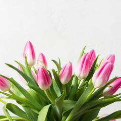 Bouquet of pink tulips on a white stone wall background. The concept of the holiday and the beginning of spring.