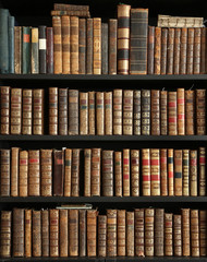 old books on wooden shelf;