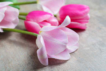 Beautiful tulip flowers on grey background