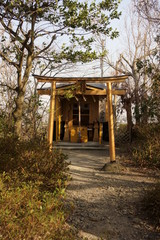 Fototapeta na wymiar 滋賀県近江八幡市の八幡山にある金生稲荷大明神の鳥居と拝殿