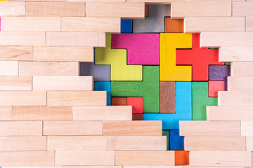 Human brain is made of multi-colored wooden blocks.