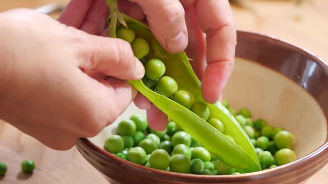 fresh green peas, shell the peas from pod. healthy vegetable food from organic agriculture. 