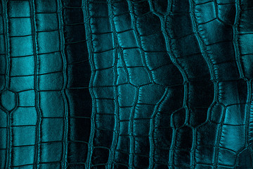 Blue crocodile leather texture, as background.