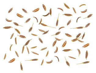 Cumin seeds isolated on a white background. Top view.