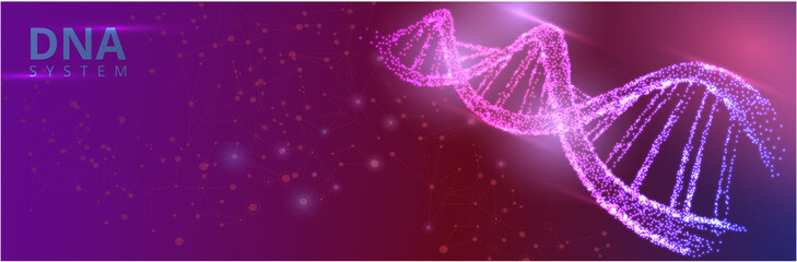 Abstract banner with pink luminous DNA molecule, neon helix on color background.