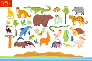 Vector flat illustration of South America animals, landscape, plants: crocodile, bear, anaconda, anteater, monkey, toucan palm tree, oak, cactus. Good for infographics, children book, alphabet, banner