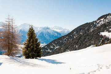 Fototapeta na wymiar Riederalp, Wallis, Alpen, Walliser Berge, Matterhorn, Winter, Wintersport, Schweiz