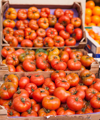 lots of tomatoes on a branch on counter