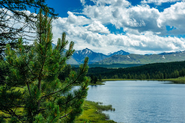 Small lake on grass and fluffy clouds over green meadows and snowy peaks. Highland lake, Altay, Siberia.