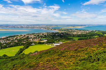 Fototapeta na wymiar Dublin city view from the top of Howth Head, Ireland. Irish landscape with hills covered in lovely wildflowers, heather and gorse and houses built at the seashore, on a bright summer day.