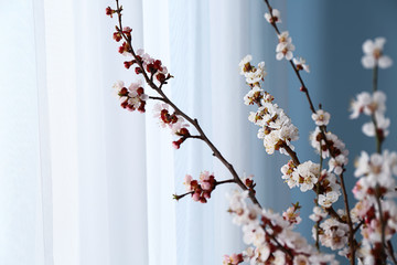 Beautiful blossoming branches on blurred background