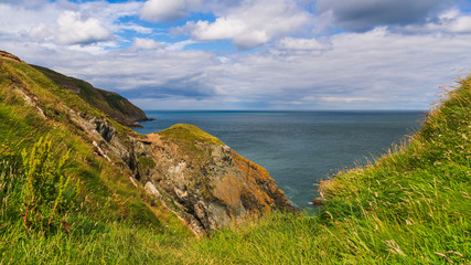 Green summer seascape of the beautiful Irish Coast with sheer cliffs covered in tall grass. Windy day on the Howth Cliff Walk in Co. Dublin, Ireland. 