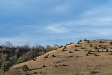 Fototapeta premium Trockenwiese Landschaft