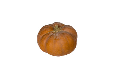 Pumpkin on a white background, small in size.