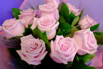 Macro view of colorful blue white yellow pink orange green purple rose flower bouquet in full blossom