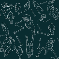 Realistic skulls of animals. Seamless Pattern