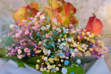 Macro view of colorful blue wihte yellow pink orange green purple Gypsophila flower bouquet in full blossom creamy style