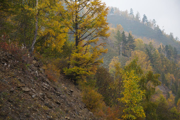 Fototapeta premium Beautiful autumn forest in stone of mount