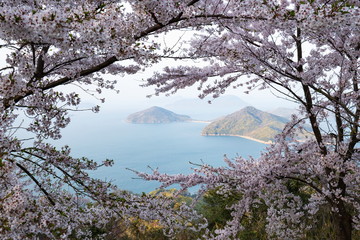 Cherry blossoms and Islands in the Seto Inland Sea (spring haze) ,Shikoku,Japan
