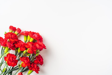 top view of carnation on white for mothers day