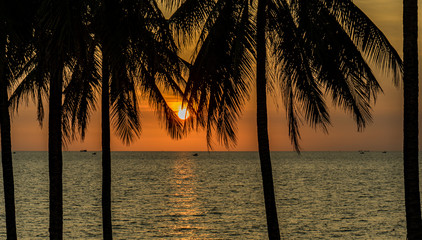 Landscape of paradise tropical Phu Quoc island beach, sunset shot