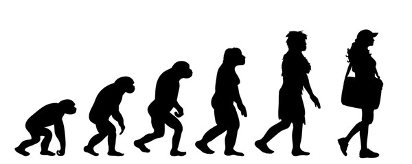Painted theory of evolution of woman. Vector silhouette of homo sapiens. Symbol from monkey to businesswoman.
