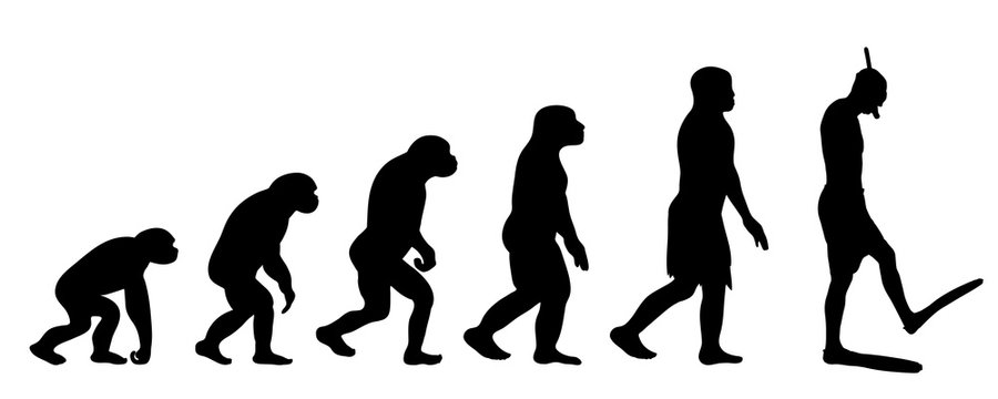 Painted theory of evolution of woman. Vector silhouette of homo sapiens. Symbol from monkey to diver.