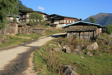 Fototapeta na wymiar in a village around gangtey (bhutan)