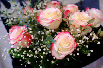 Macro view of colorful blue white yellow pink orange green purple rose flower bouquet in full blossom
