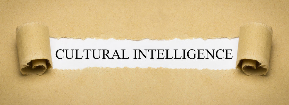 Cultural Intelligence