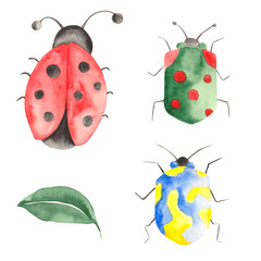 Watercolor set of insects, ladybugs, bedbugs, beetles with leaves on a white background. Watercolor beetles, ladybugs in the heart and circle.
