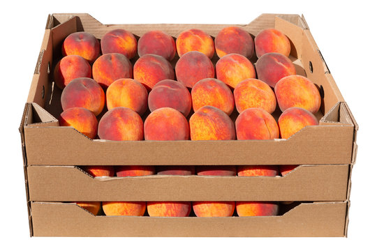 three cardboard boxes with ripe peaches are stacked, many peaches, on a white background