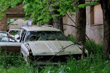 in one of the forests in Europe the old battered and forgotten cars in the yard