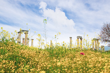 Obraz premium Old Ancient Ruins in Aphrodisias, Turkey. Columns and Rocks in a Green Spring Landscape.