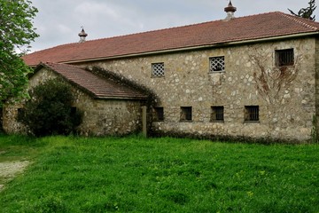 old abandoned building on a green lawn in the middle of the forest