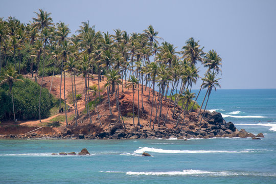 Coconut Tree Hill, Mirissa