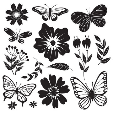 Black and white butterflies and flowers. Hand drawn vector floral set. Floral and butterfly, flower plant monochrome illustration