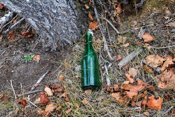 Fototapeta premium Garbage in the forest. Glass, green bottle lying in the woods, among the branches and grass