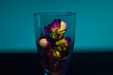 flower in glass