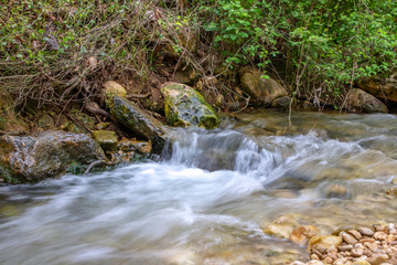 Fototapeta na wymiar River flowing between stones and trees in green foliage