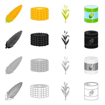 Vector illustration of cornfield and vegetable icon. Set of cornfield and vegetarian vector icon for stock.