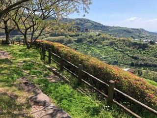 見事な景色