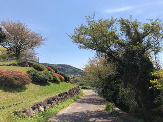 見事な景色
