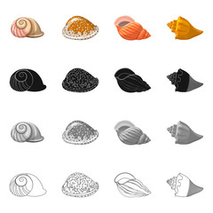 Isolated object of animal and decoration symbol. Collection of animal and ocean stock symbol for web.