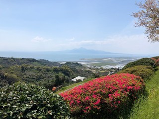 見事な景色