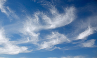 Sky background. Blue sky and white clouds. Spring sky. 