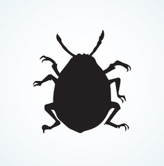 Colorado beetle. Vector drawing