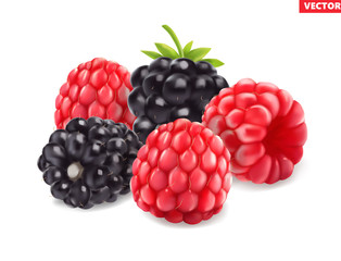 Blackberries and raspberries . Sweet fruit. 3d vector icon. Realistic illustration